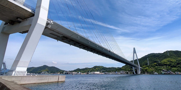 海洋散骨・粉骨